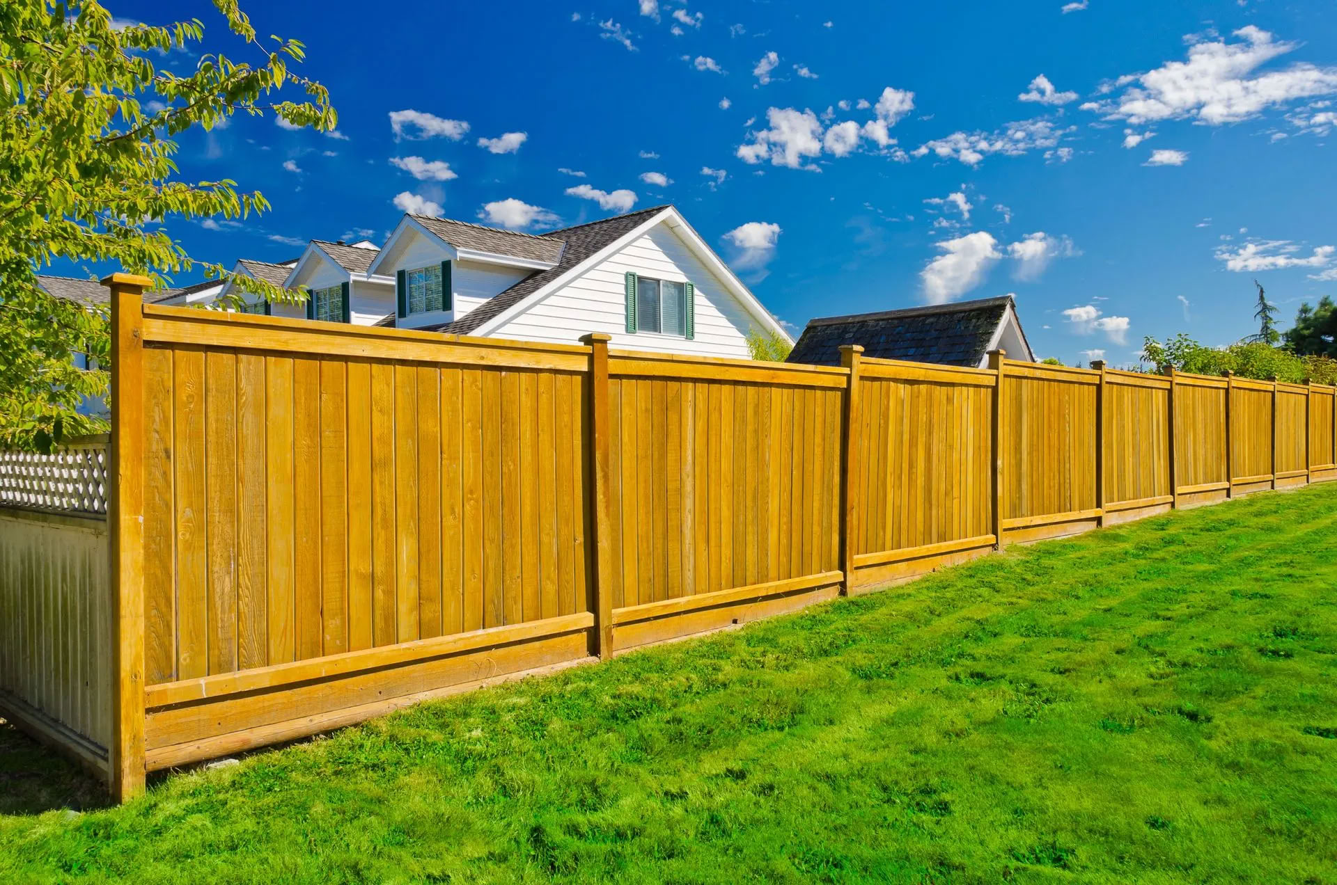 Custom Decks and Fences